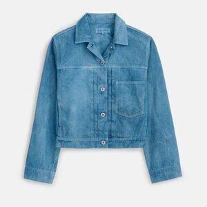 Alex Mill Botanical Dye Trucker Jacket